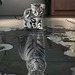 Mirroslav