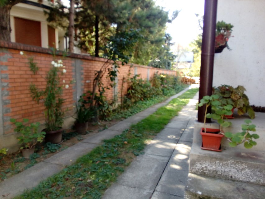 Ložionička 21, Novi Sad - 3