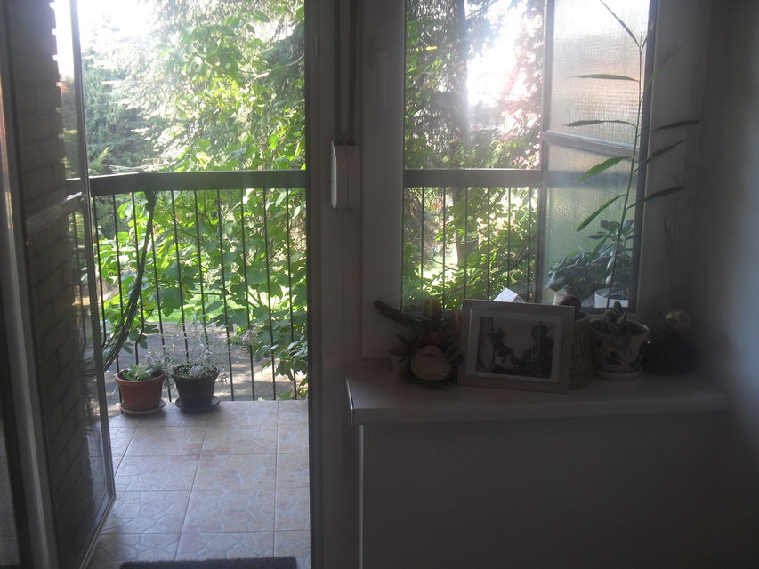 Vladimira Nazora 23, Sremska Kamenica - 2