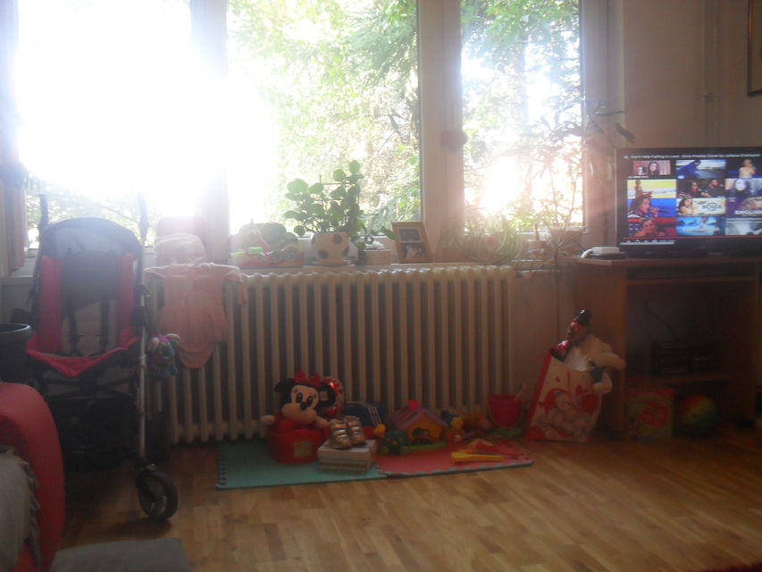 Vladimira Nazora 23, Sremska Kamenica - 4