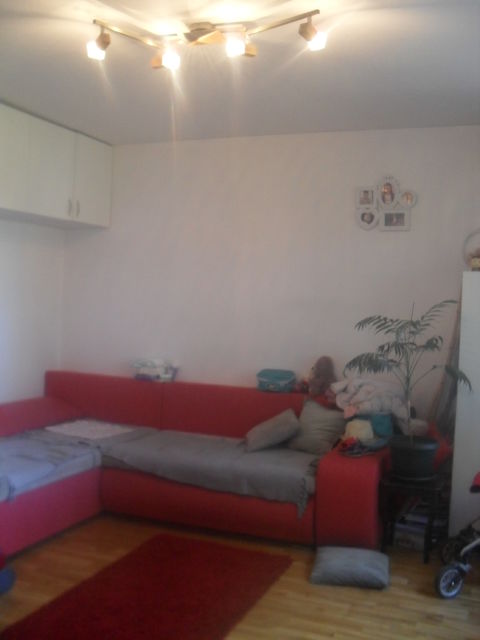 Vladimira Nazora 23, Sremska Kamenica - 3