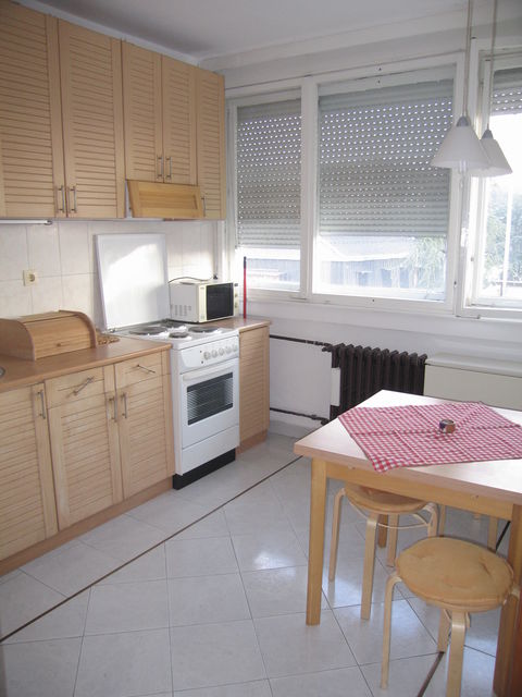 Borska 36, Beograd - 10