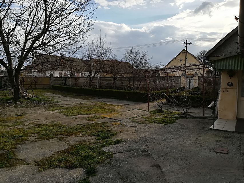 Braće Jakšića 2, Neštin - 7