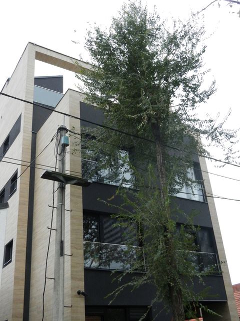 Pašmanska 20, Beograd - 2
