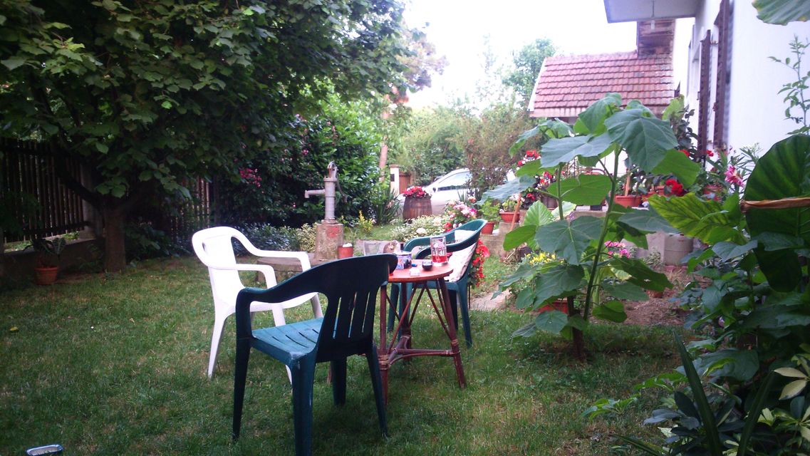 4. jula 5, Beograd - 5