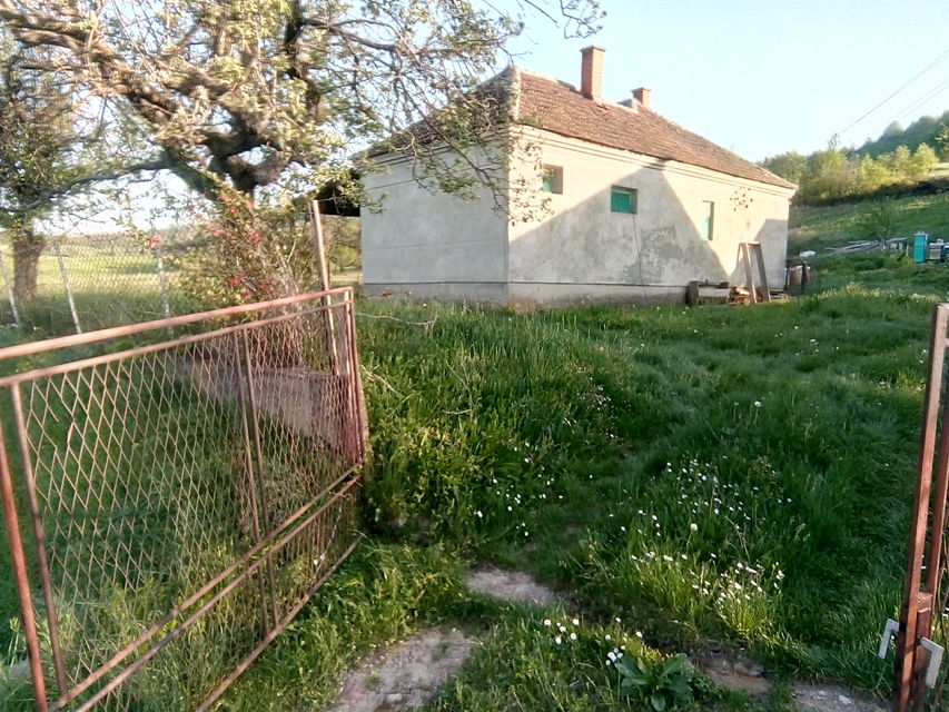 Ribarska banja bb-1, Ribarska Banja - 2