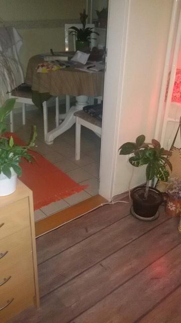 Braće Radića  15, Subotica - 1