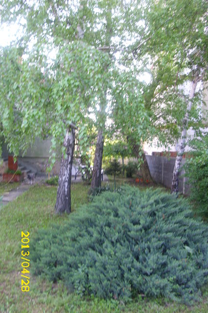 Mladena Milenkovića 17, Jagodina - 4