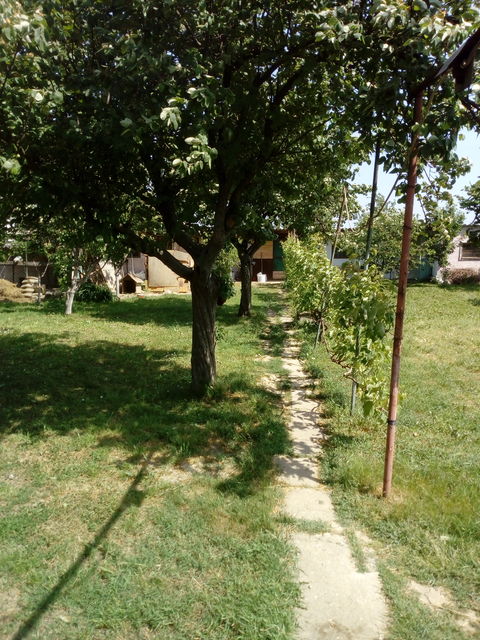 Braće Gavrajić 216, Boljevci - 3