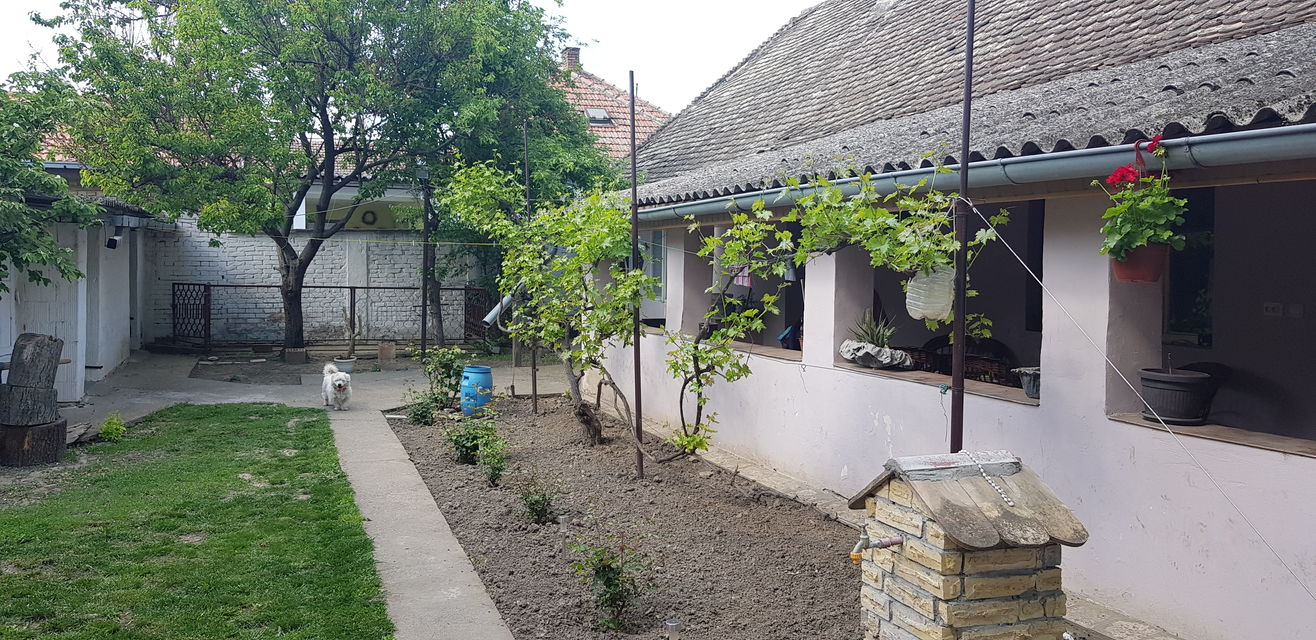 Kiš Ferenca 33, Debeljača - 11