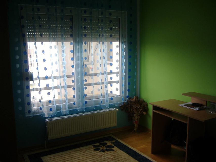 Spasenije Cane Babović 1/A, Kragujevac - 12