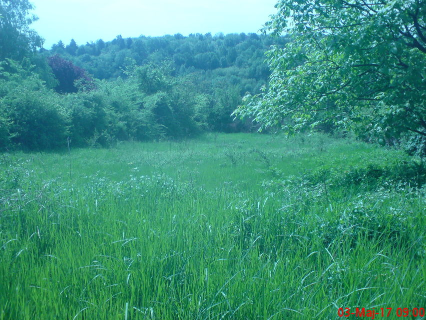 Miloševačko jezero bb, Velika Plana - 13