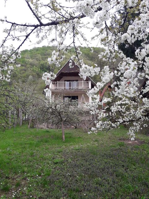 Golubinje bb-1, Donji Milanovac - 1