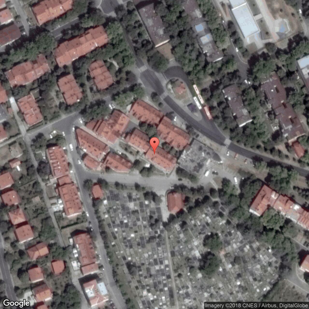 Čarobne frule 29, Beograd