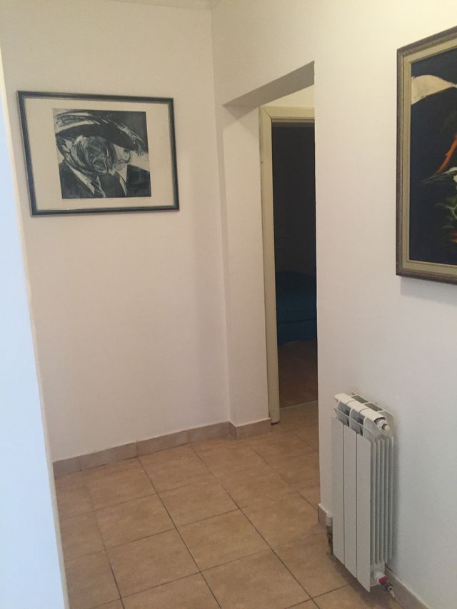 Živka Davidovića 116, Beograd - 3