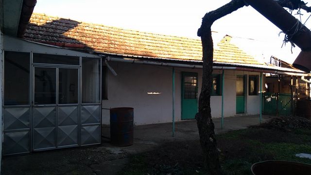 Elemir - Zrenjanin 1, Zrenjanin - 3