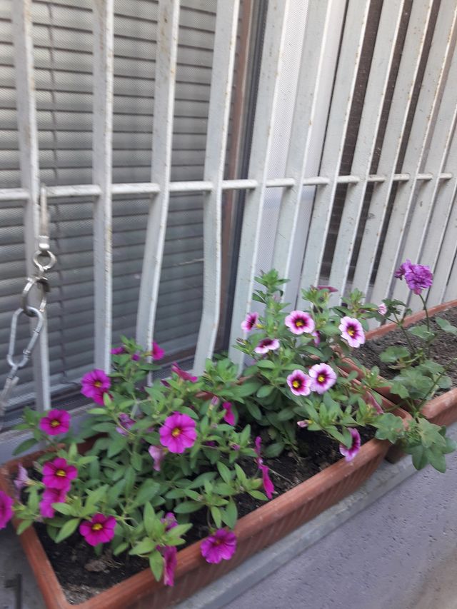 Patrisa Lumumbe 53, Beograd - 9