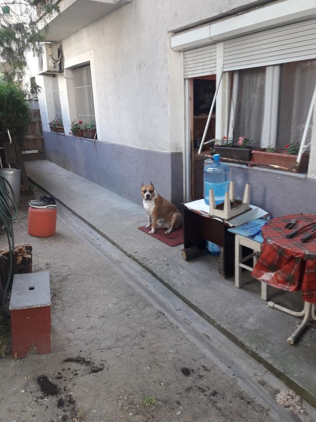 Patrisa Lumumbe 53, Beograd - 12
