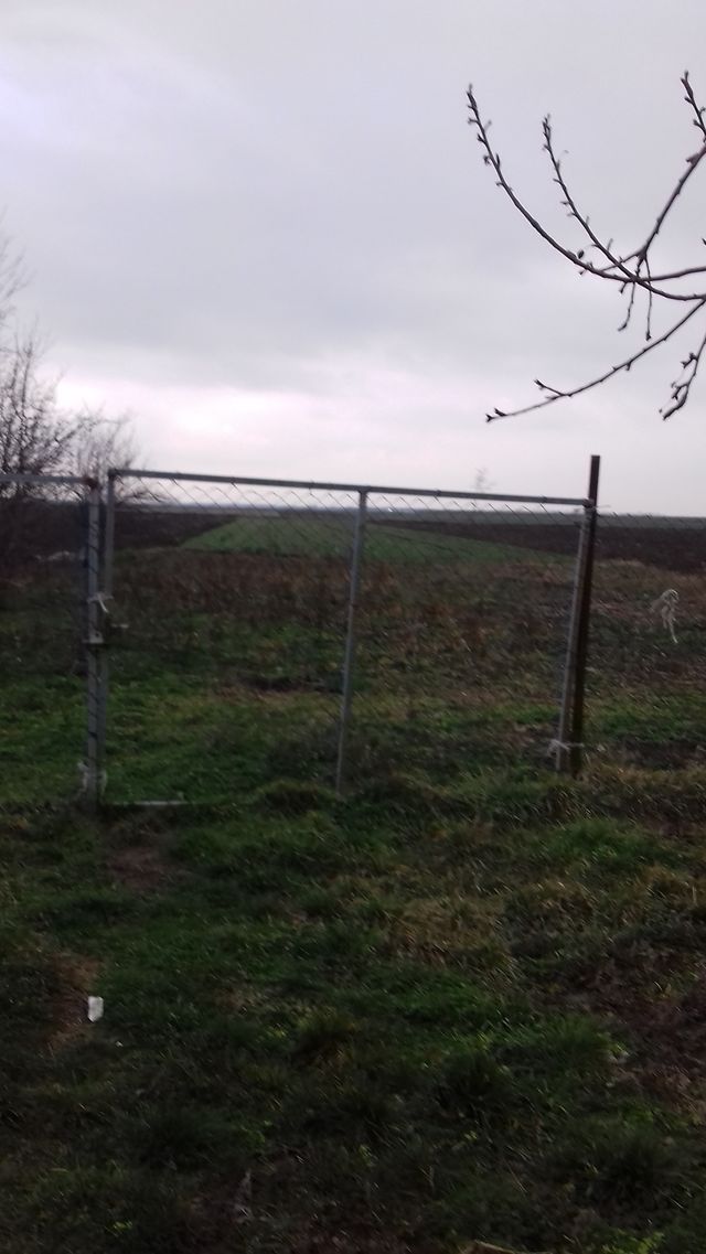 Šijačka 135, Novi Karlovci - 6