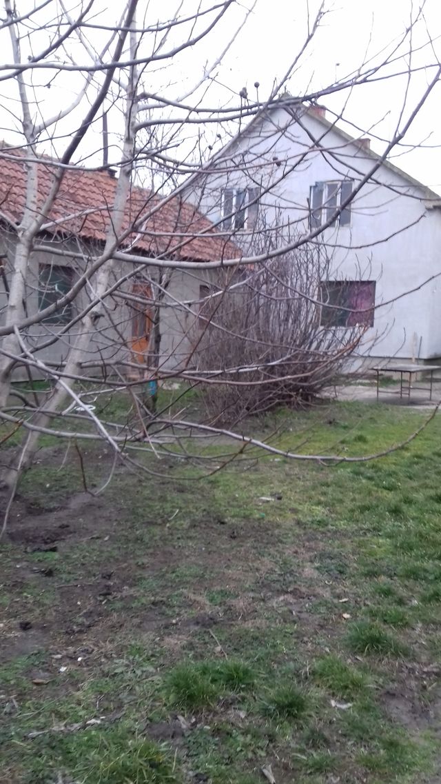 Šijačka 135, Novi Karlovci - 5