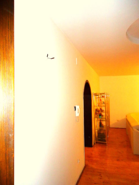 Semlačka 104, Kikinda - 10