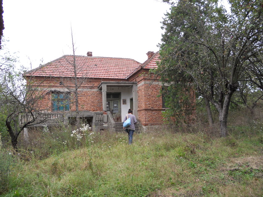 Srpskih vladara 10, Lučina