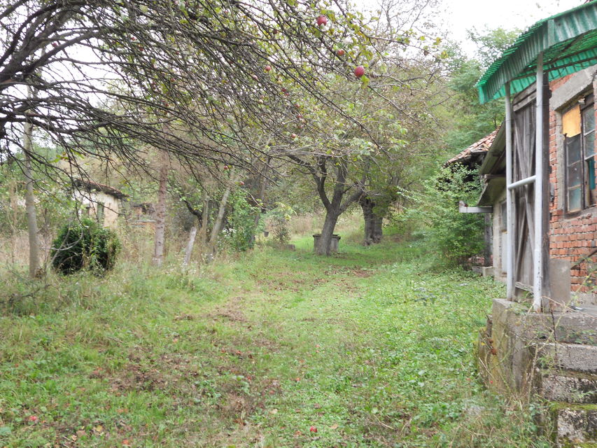 Srpskih vladara 10, Lučina - 2