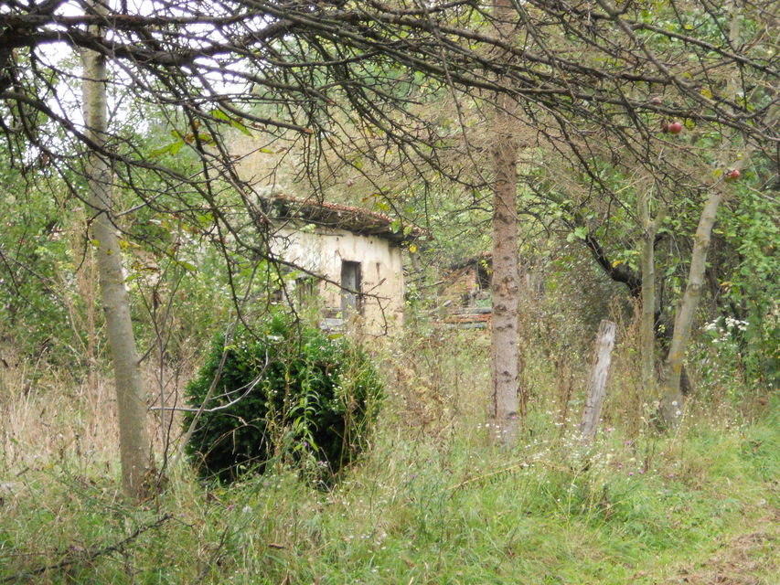 Srpskih vladara 10, Lučina - 3