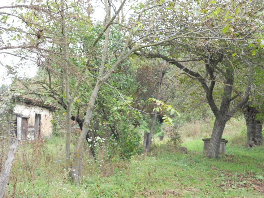 Srpskih vladara 10, Lučina - 4