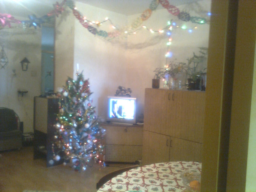 Bulevar Kneza Miloša 30, Novi Sad - 9