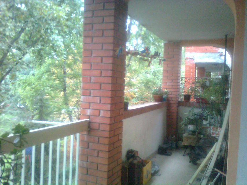 Bulevar Kneza Miloša 30, Novi Sad - 1