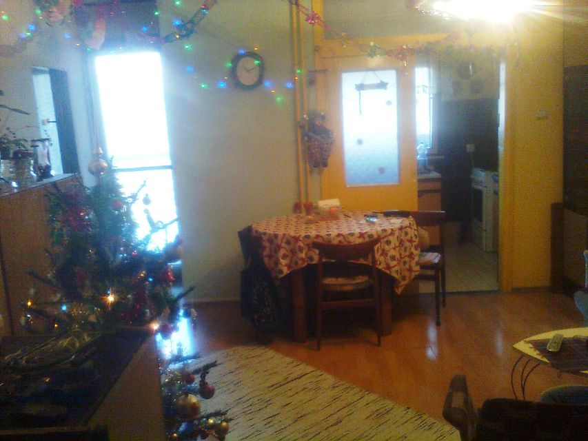 Bulevar Kneza Miloša 30, Novi Sad - 8