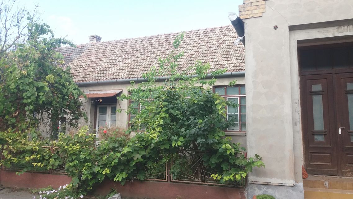 Bratstva i jedinstva  11, Torak - 5