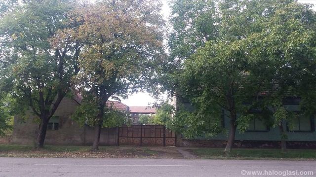 Bratstva i jedinstva  11, Torak - 4