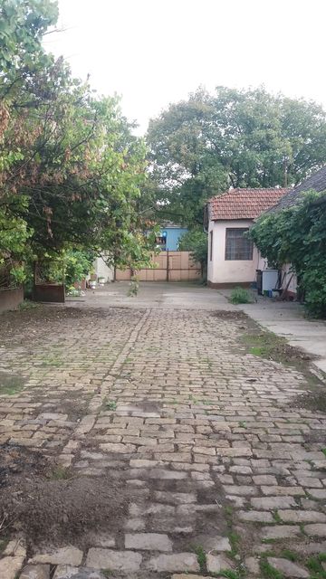 Bratstva i jedinstva  11, Torak - 7