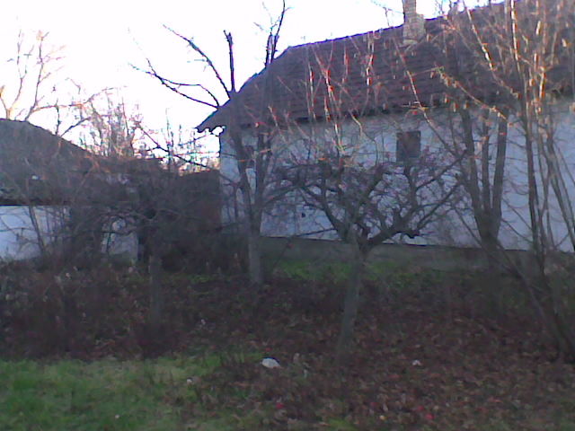 Ribarska 45, Novi Sad - 7