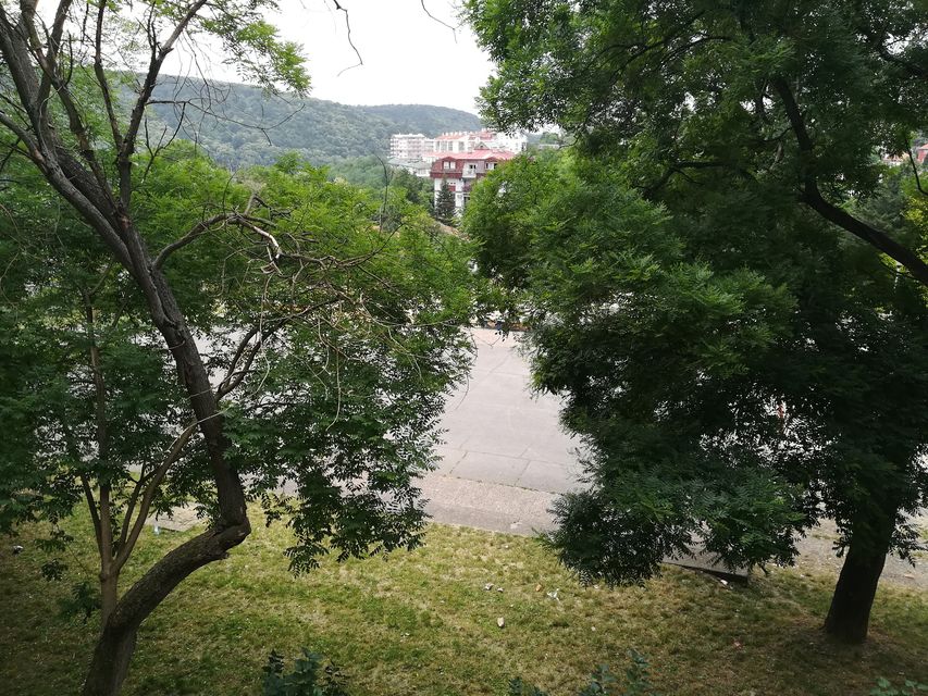 Borska 13, Beograd - 5