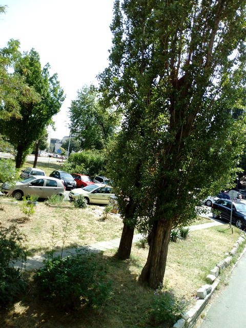 Omladinskih brigada 10, Beograd - 10