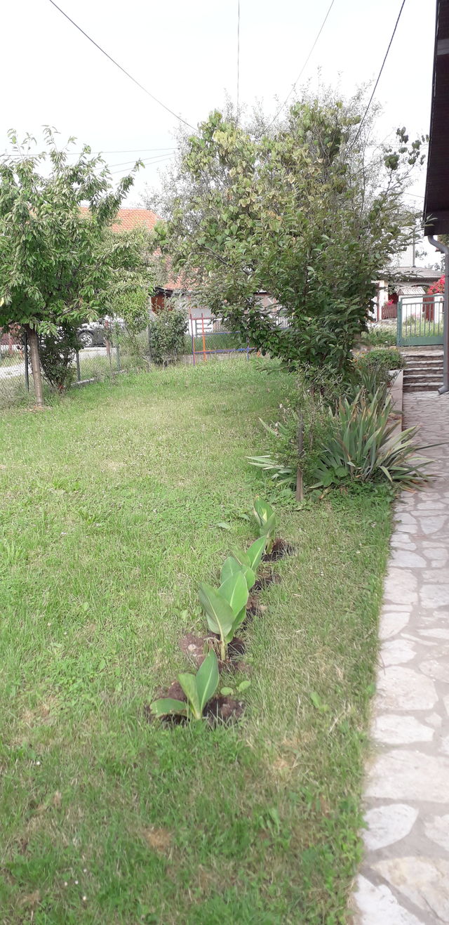 Milovana Lazarevića 74, Beograd - 2