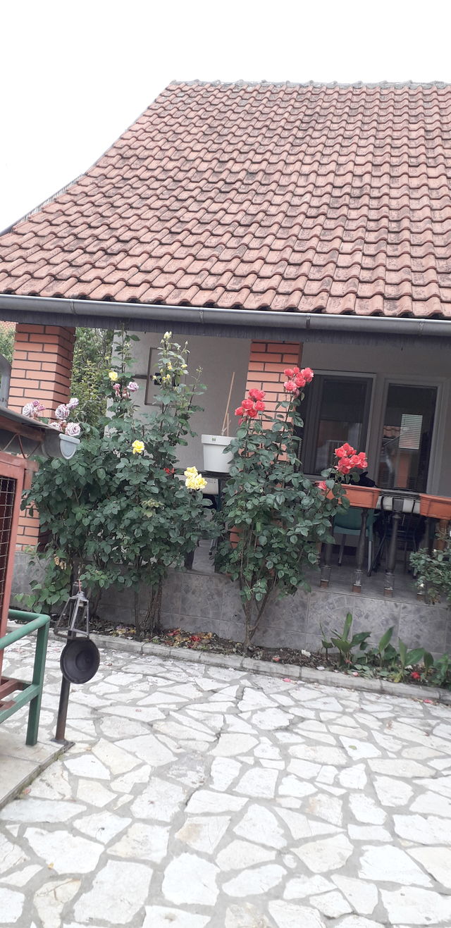 Milovana Lazarevića 74, Beograd - 4