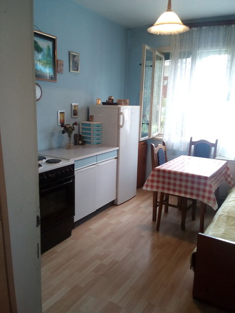 Filipa Višnjića 4, Knjaževac - 7