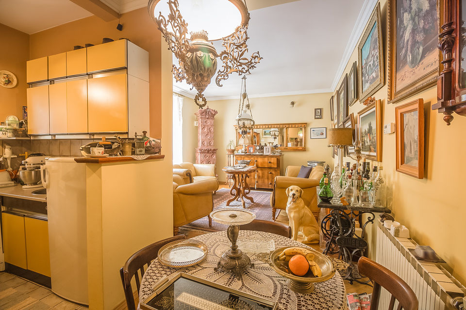 Vojvode Knićanina 4, Novi Sad - 8