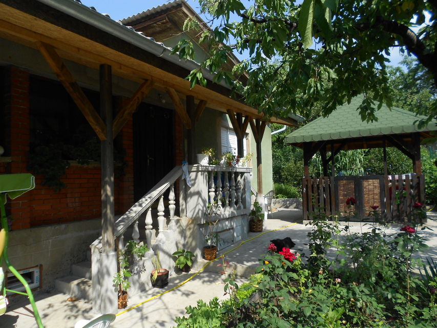 Svetozara Markovića 26, Bor - 3