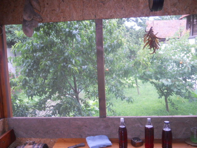 Dunavska 20a, Inđija - 9