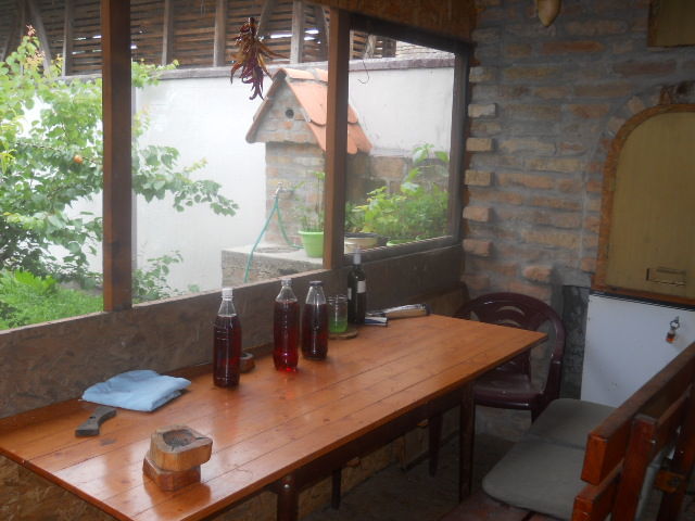 Dunavska 20a, Inđija - 6