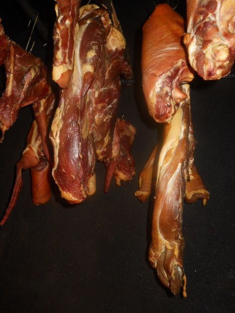 Dunavska 20a, Inđija - 19