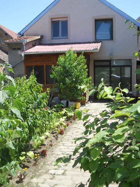 Dunavska 20a, Inđija - 3