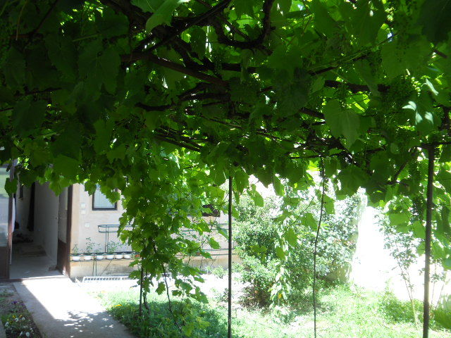 Dunavska 20a, Inđija - 14