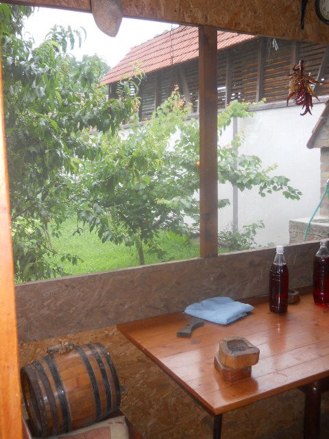 Dunavska 20a, Inđija - 12