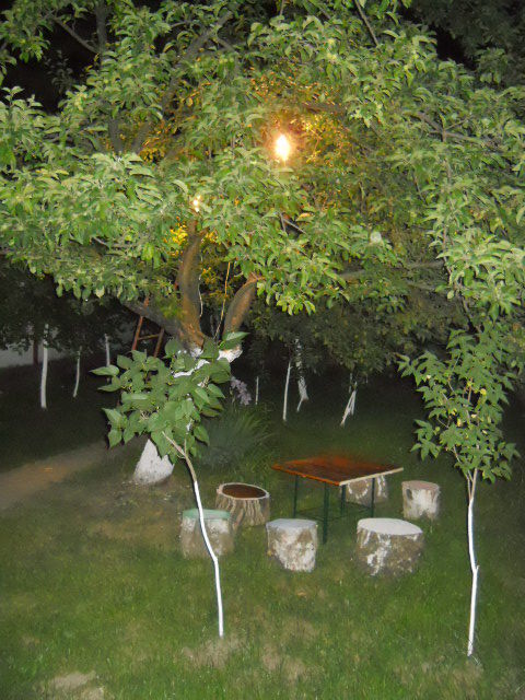 Dunavska 20a, Inđija - 13